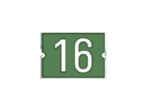 NM1